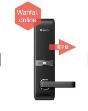 Load image into Gallery viewer, 電子錠 Solity GM-5500K Digital Lock *Free Delivery by SF express in Hong Kong