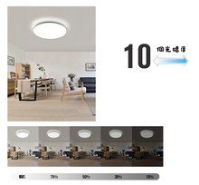 Load image into Gallery viewer, &quot;Design in Japan&quot; Ra95 Ceiling Light *Free Delivery in H.K.