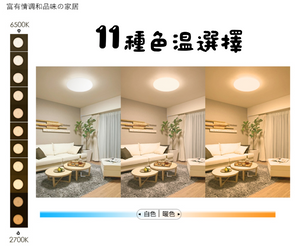 "Design in Japan" Ra95 Ceiling Light *Free Delivery in H.K.